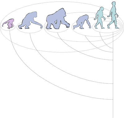 Color Sketch of the Genetic Distance Grouping, walking primates, version 1