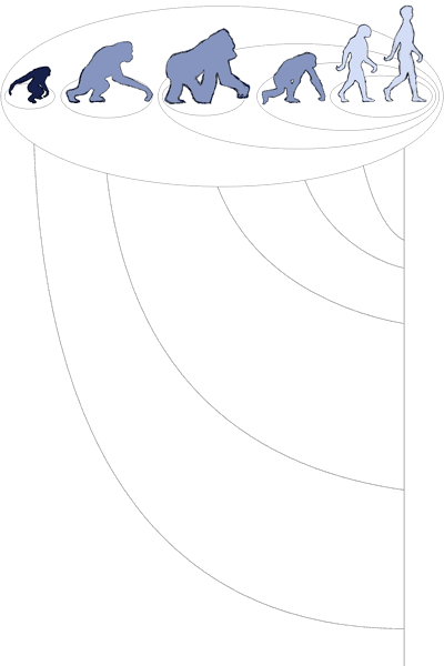 Color Sketch of the Genetic Distance Grouping, walking primates, version 2