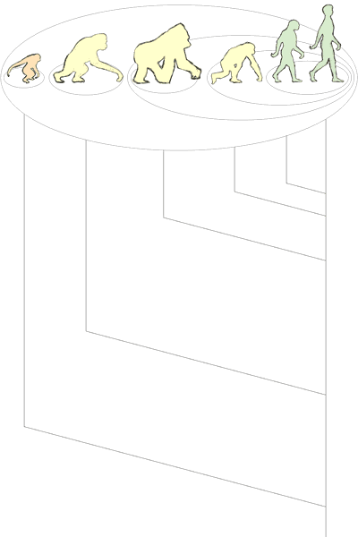 Color Sketch of the Genetic Distance Grouping, walking primates, version 4